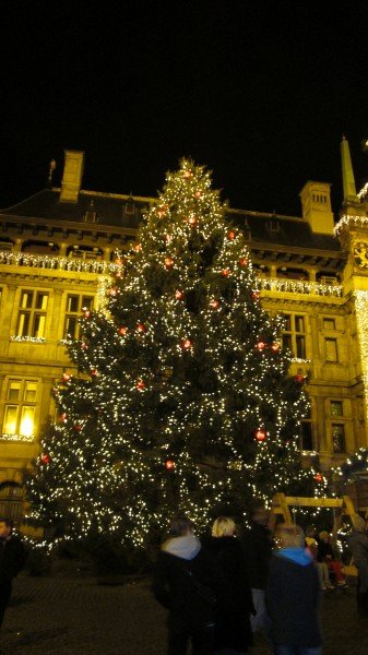 Antwerp Christmas Market 2023-2024: 🎅 Dates, Location, Attractions 71