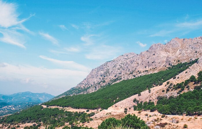 Sierra de Grazalema