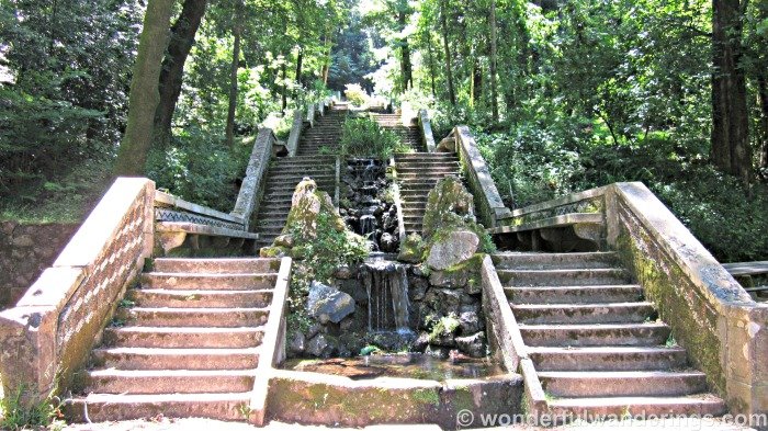 Mata do Bussaco Portugal