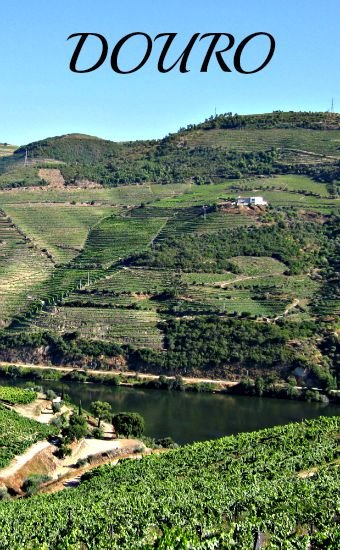 vallei van de douro portugal