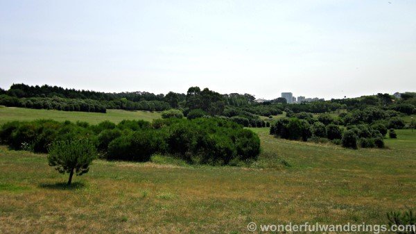 Parque da Cidade Porto