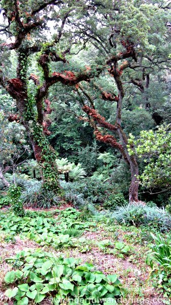 Paleis van Monserrate Sintra