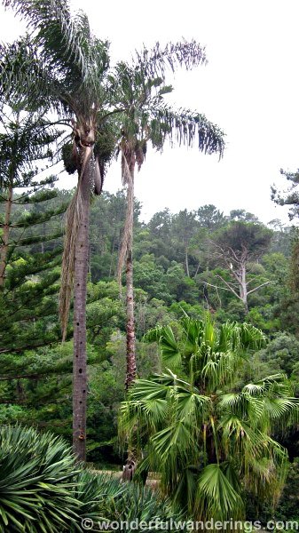 Monserrate Sintra