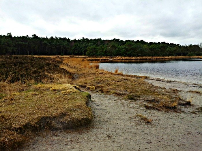 bezoekerscentrum kalmthoutse heide