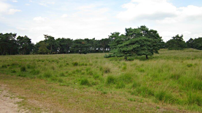de zoom kalmthoutse heide