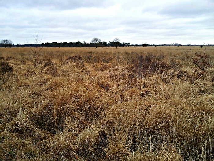 kalmthoutse heide bezoekerscentrum