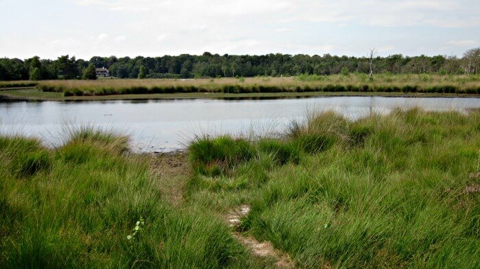 kalmthoutse heide wandelen