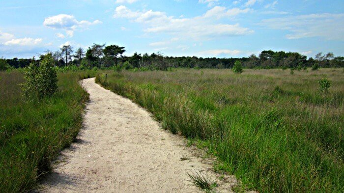 kalmthoutse heide wandelpaden