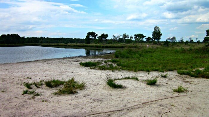 kempense heide