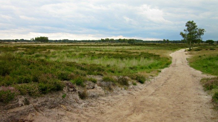 wandelroutes kalmthoutse heide
