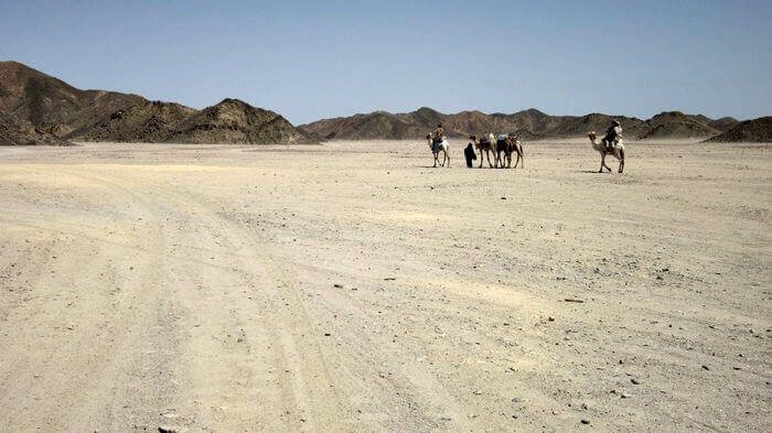 egypte woestijn