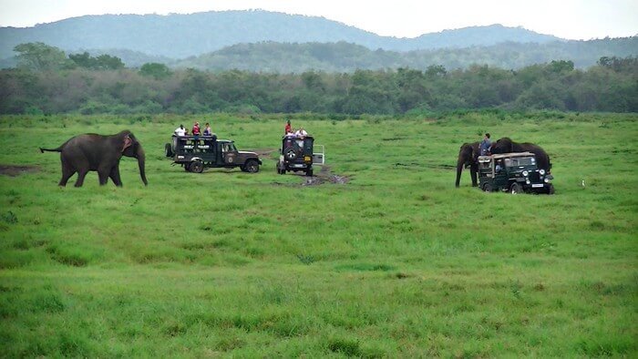 best national park in sri lanka