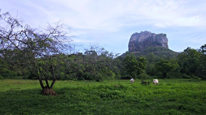 Climbing Sigiriya Rock up to the Lion Fortress in Sri Lanka 4