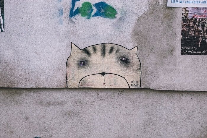 dresden uitgaan
