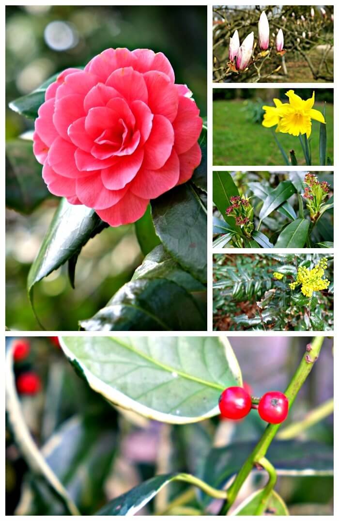 garden hof ter saksen