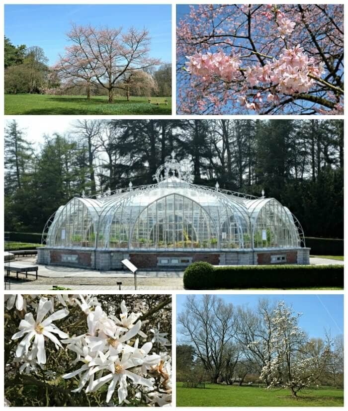 plantentuin meise parking