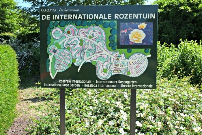 rozentuin belgie