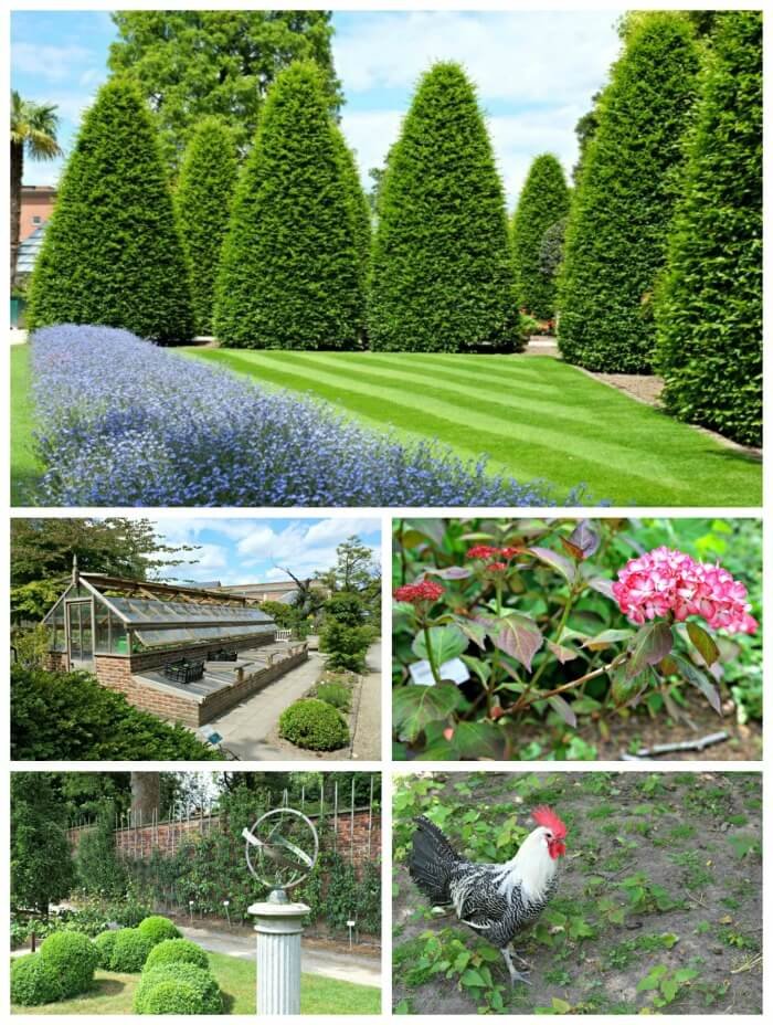 kruidtuin leuven