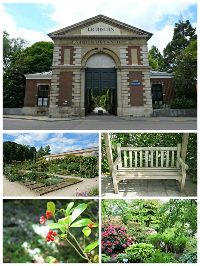 botanical garden kruidtuin