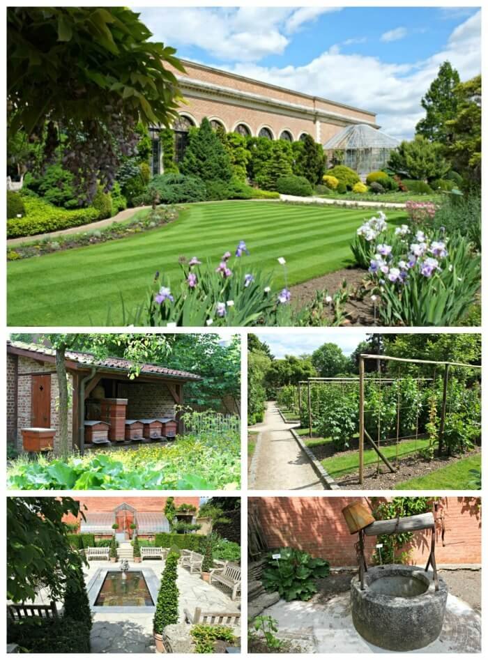 botanic garden leuven