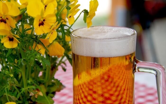 fun facts about germany
