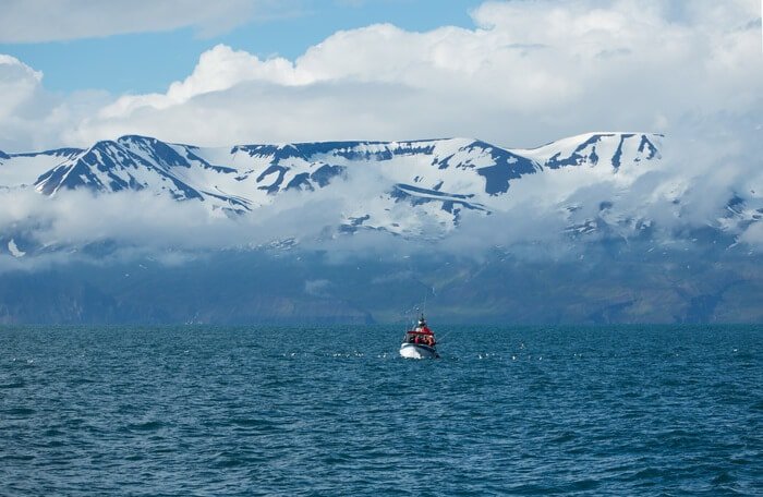 interesting fact about iceland