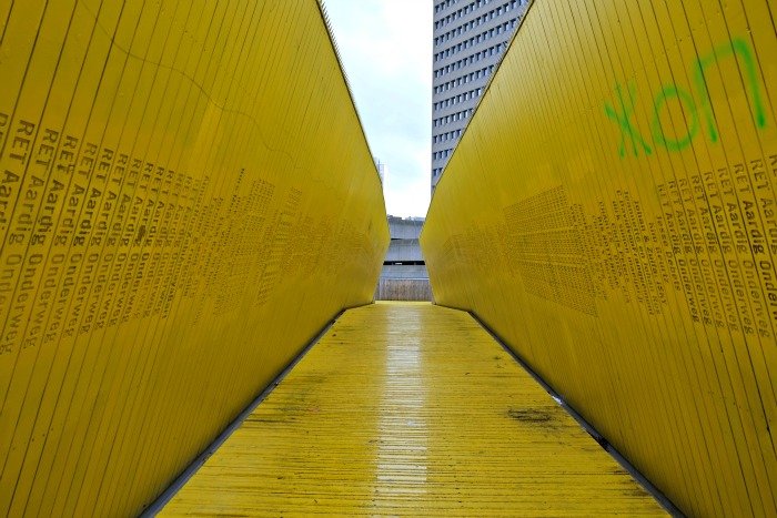 what to do in Rotterdam in a weekend