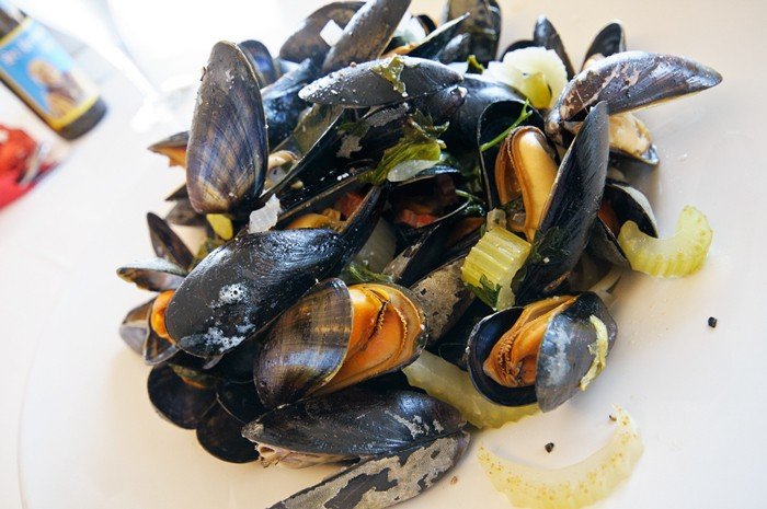 Belgian food mussels