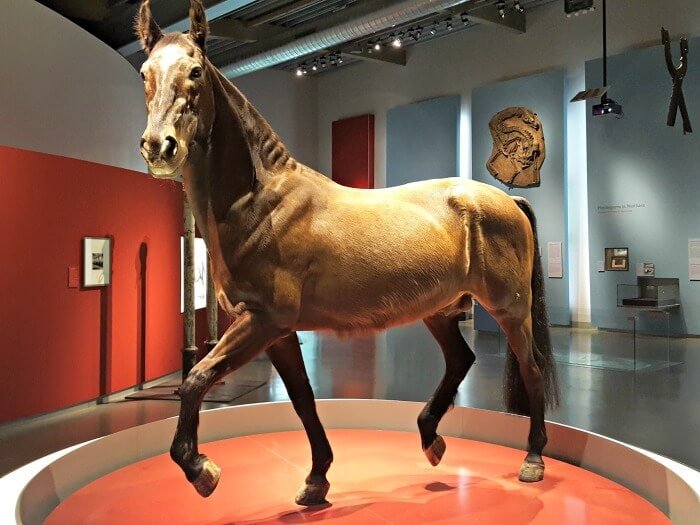 things to do in munster germany