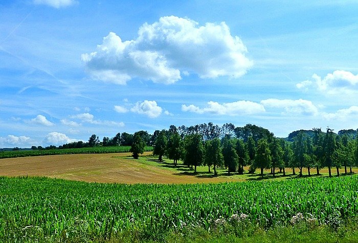 Voeren