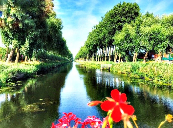 Damse vaart