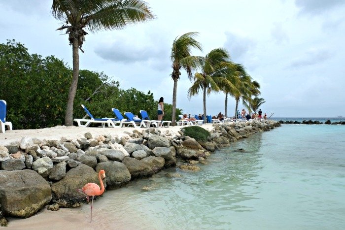 Renaissance Island: hotel with flamingo beach in Aruba 9