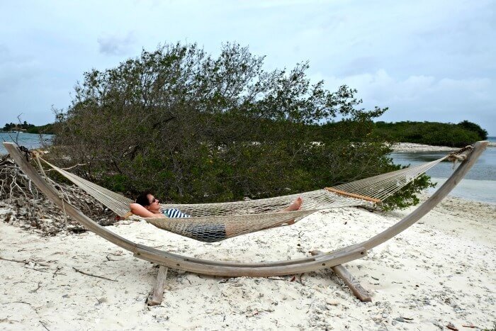 flamingo eiland aruba