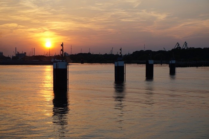 scheldebocht antwerpen