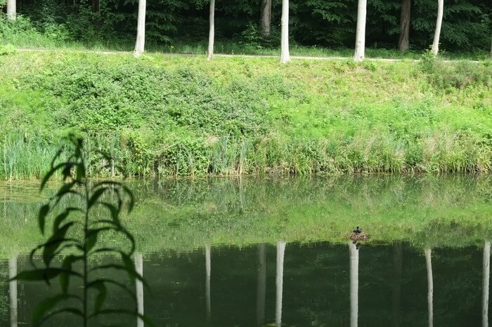 park tervuren