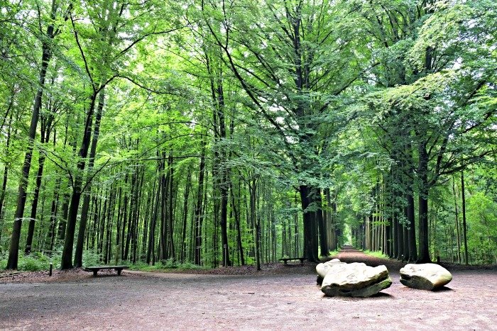 tervuren park