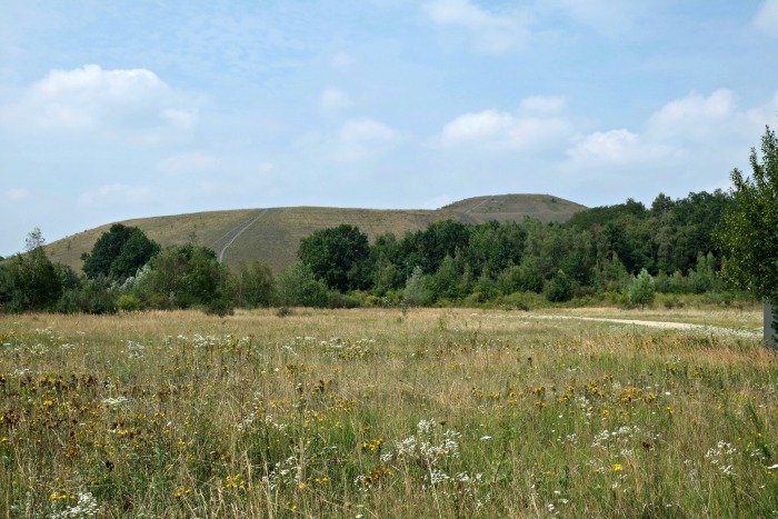 cmine