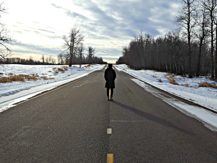 bizon canada elk island