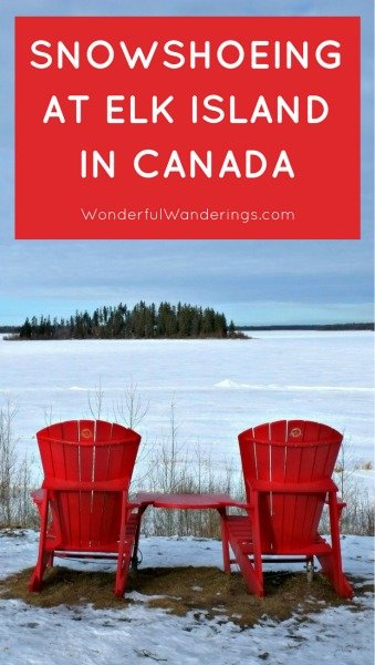Elk Island National Park Alberta Canada