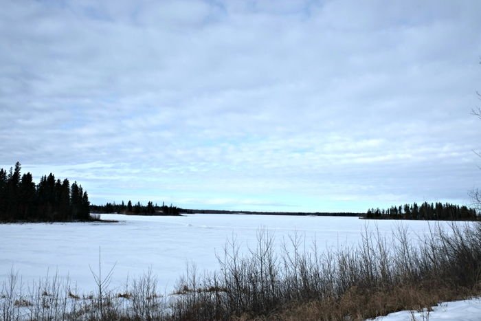 elk island national park canada