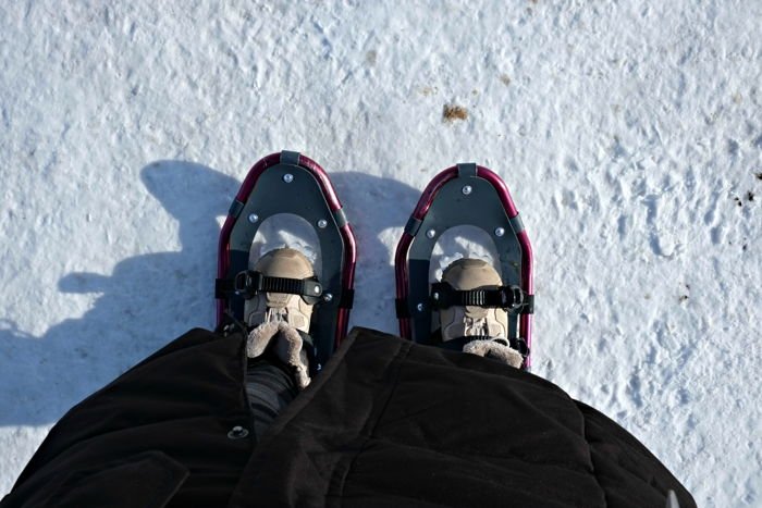 elk island national park locatie