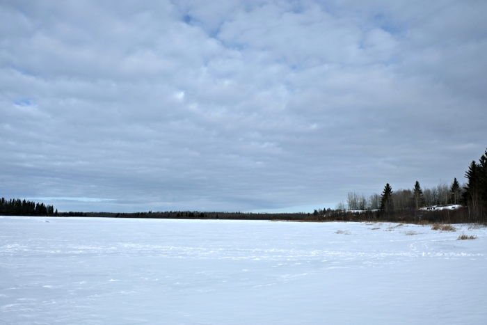 waar is elk island national park