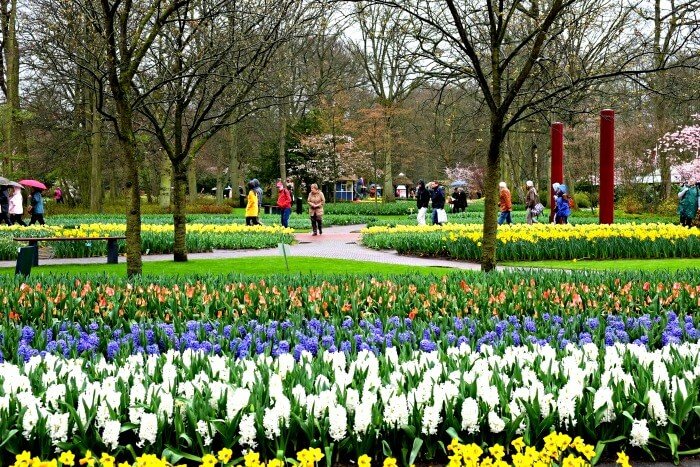 keukenhof beste tijd