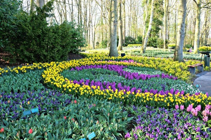 tulpen keukenhof