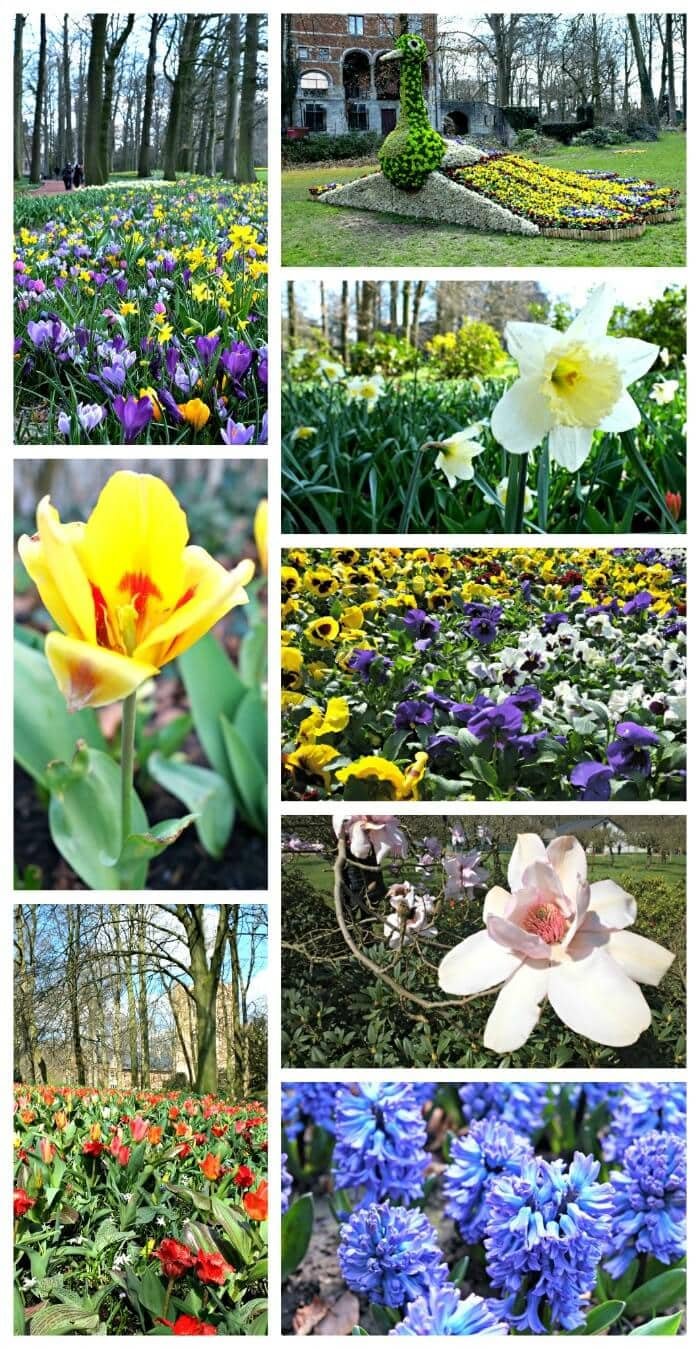 floralia flower show
