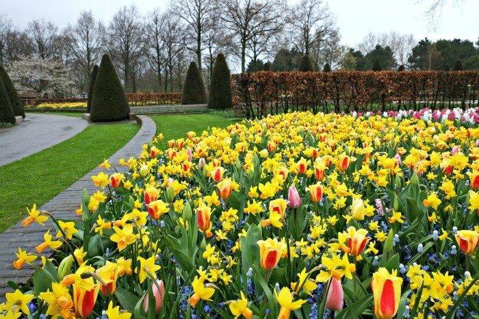 beste tijd keukenhof