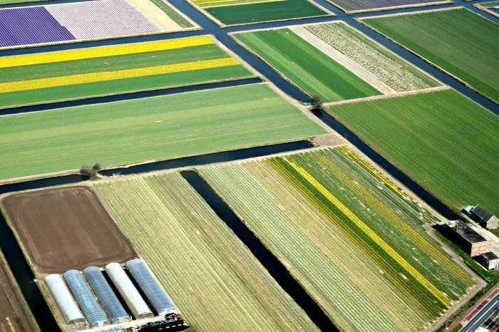 keukenhof amsterdam