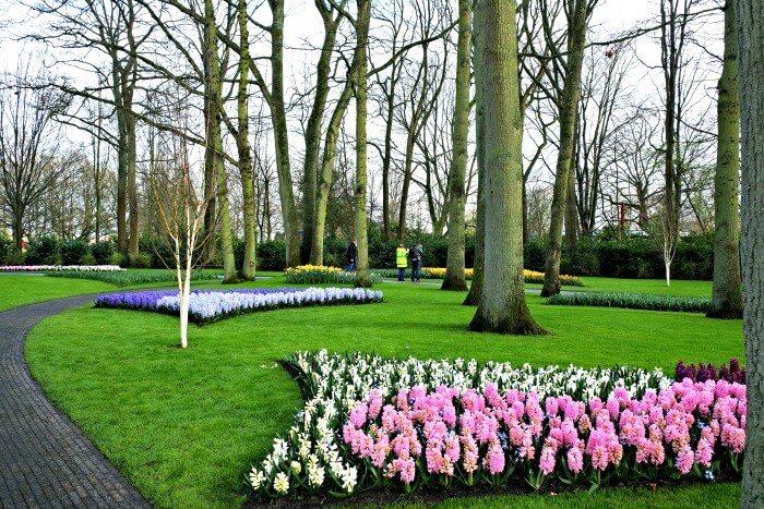 tulpentuin nederland