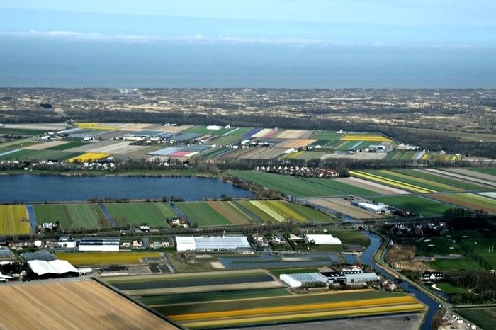 bloemen park nederland