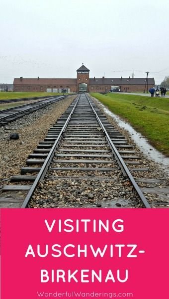 auschwitz stories